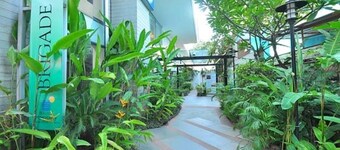 AMC Comforts at Brigade Homestead