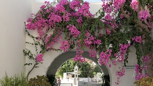 An entrance with a stone pathway leading to a white building, surrounded by potted plants and flowering vines. - Iria Beach art hotel (Naxos)