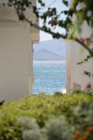 Vista desde la propiedad