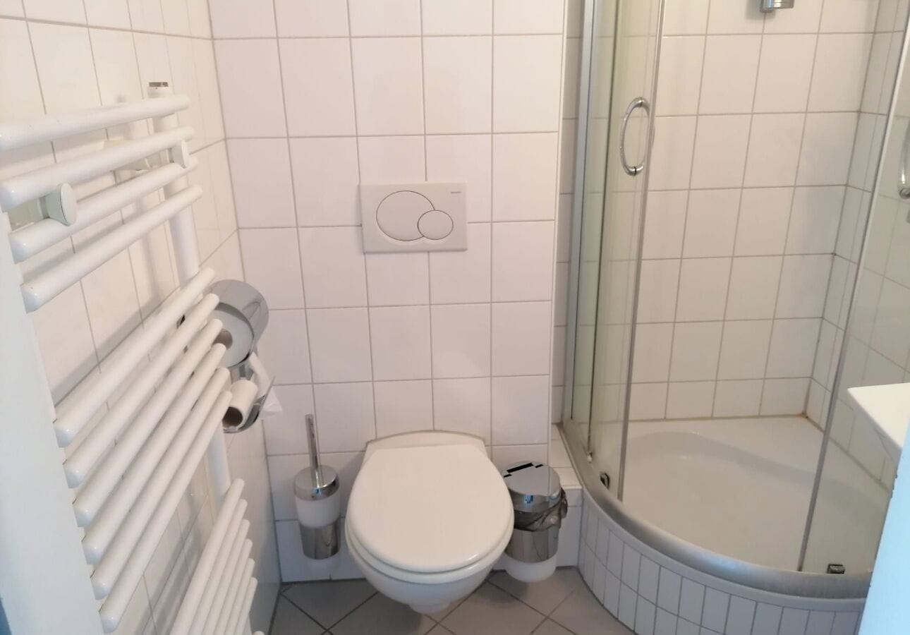 Ein Badezimmer mit Toilette, Dusche und Handtuchheizkörper.