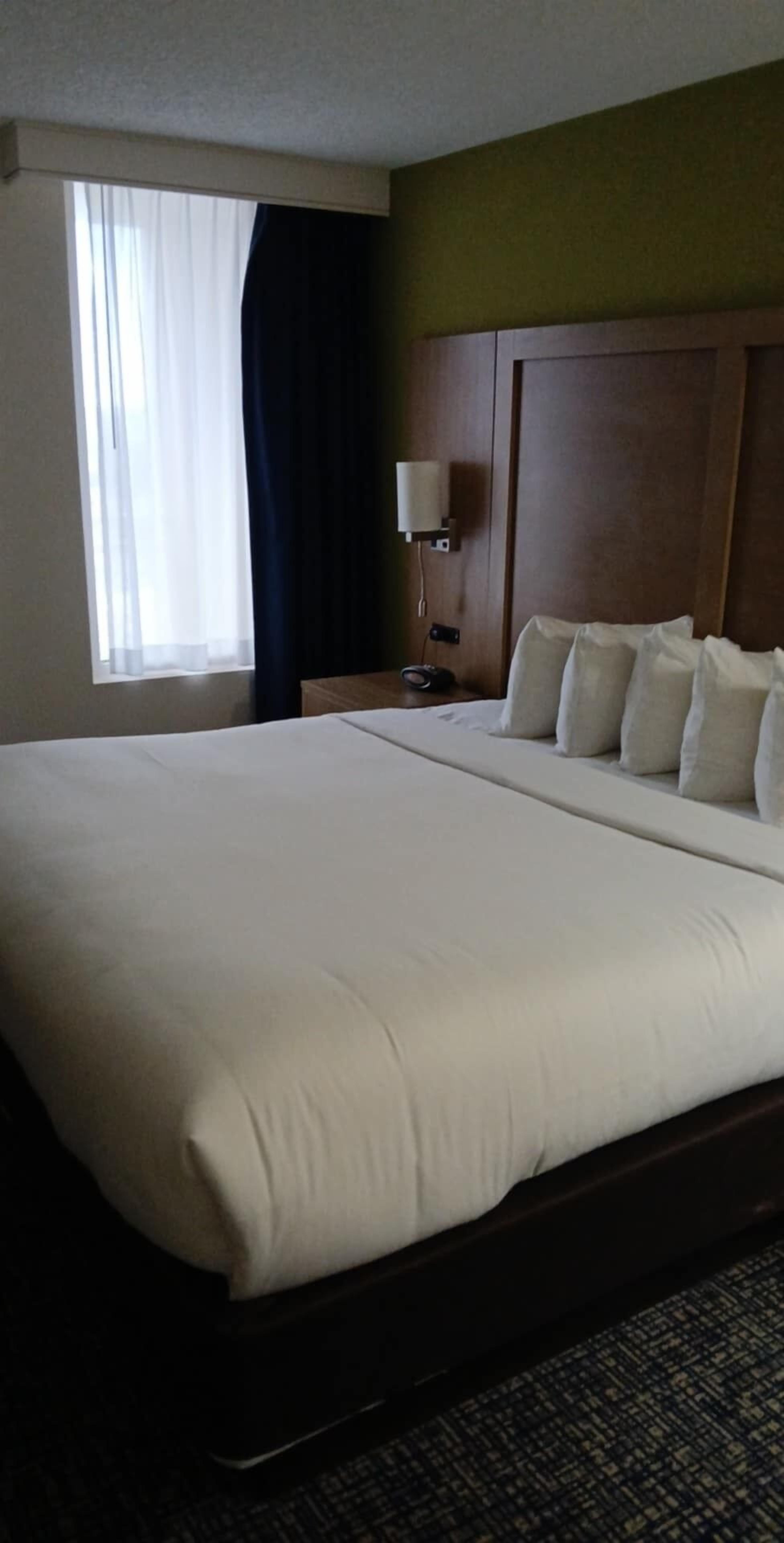 Foto - Comfort Suites Beachfront