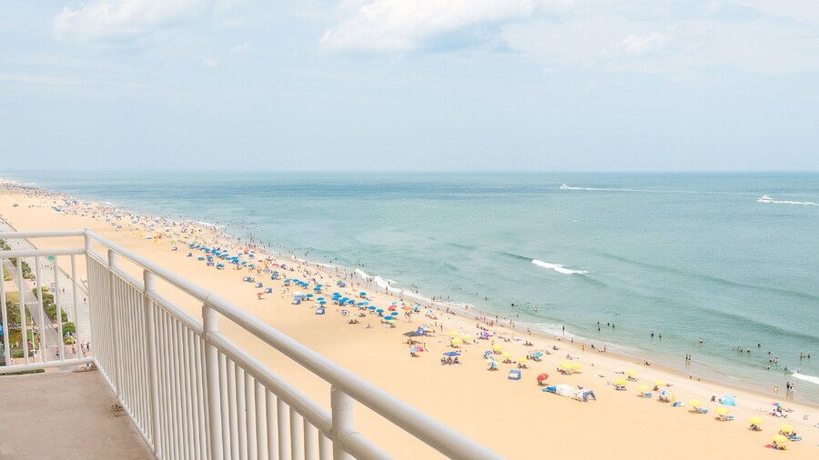 Comfort Suites Beachfront