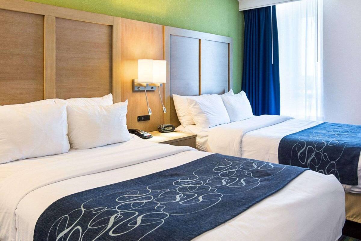 Een hotelkamer met twee bedden, een nachtkastje met een lamp en uitzicht naar buiten door een raam met blauwe gordijnen.