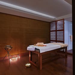 Couples treatment room(s), facials, Ayurvedic treatments