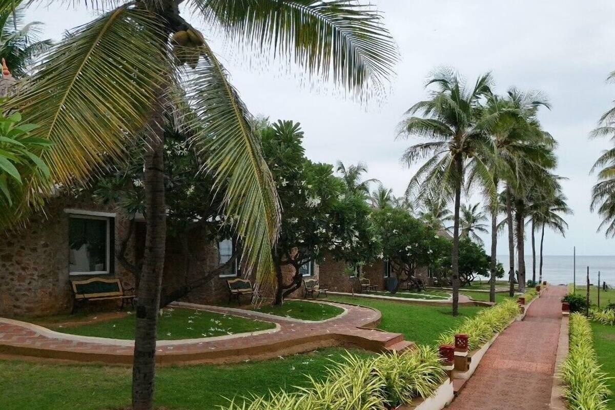 Un camino bordeado de palmeras y un edificio de piedra con un banco.