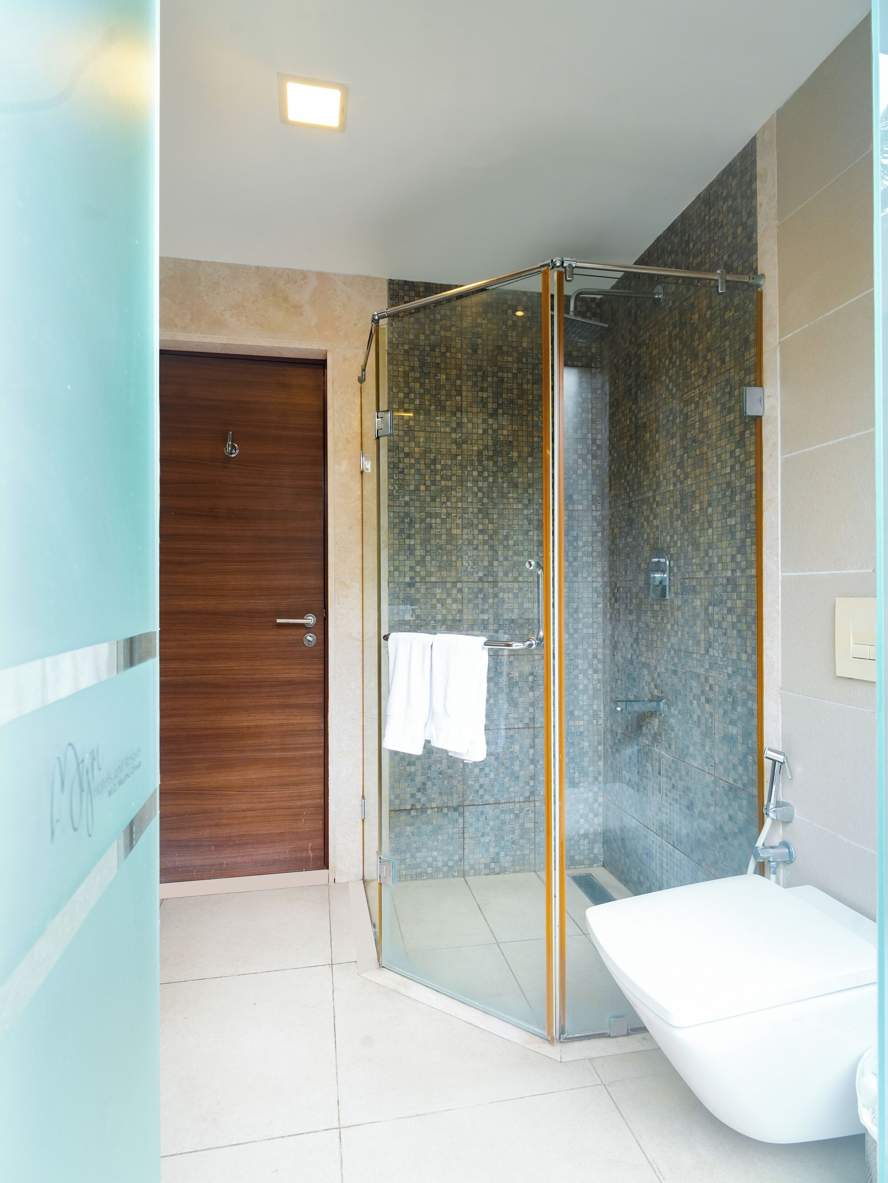 A modern bathroom with a glass-enclosed shower, a wooden door, and a white toilet.