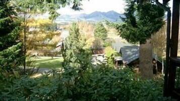 Tuin