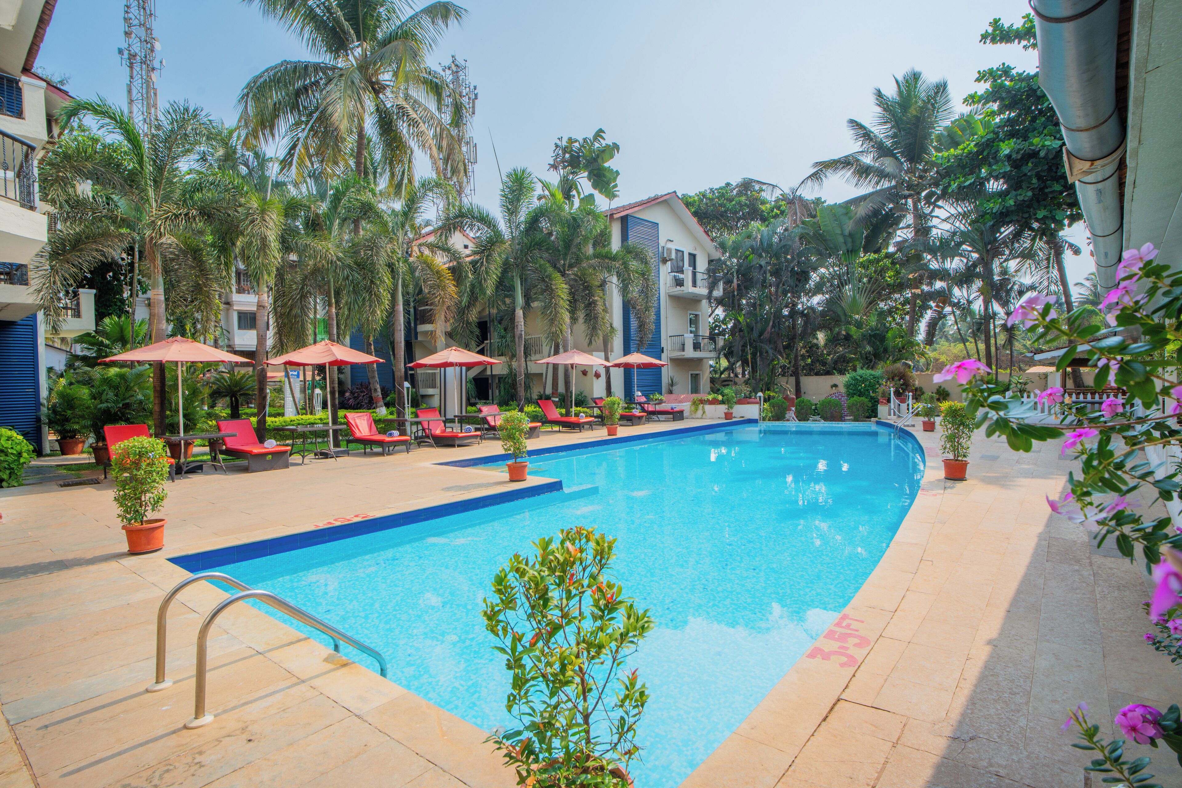 A swimming pool with lounge chairs and umbrellas, surrounded by palm trees and potted plants.