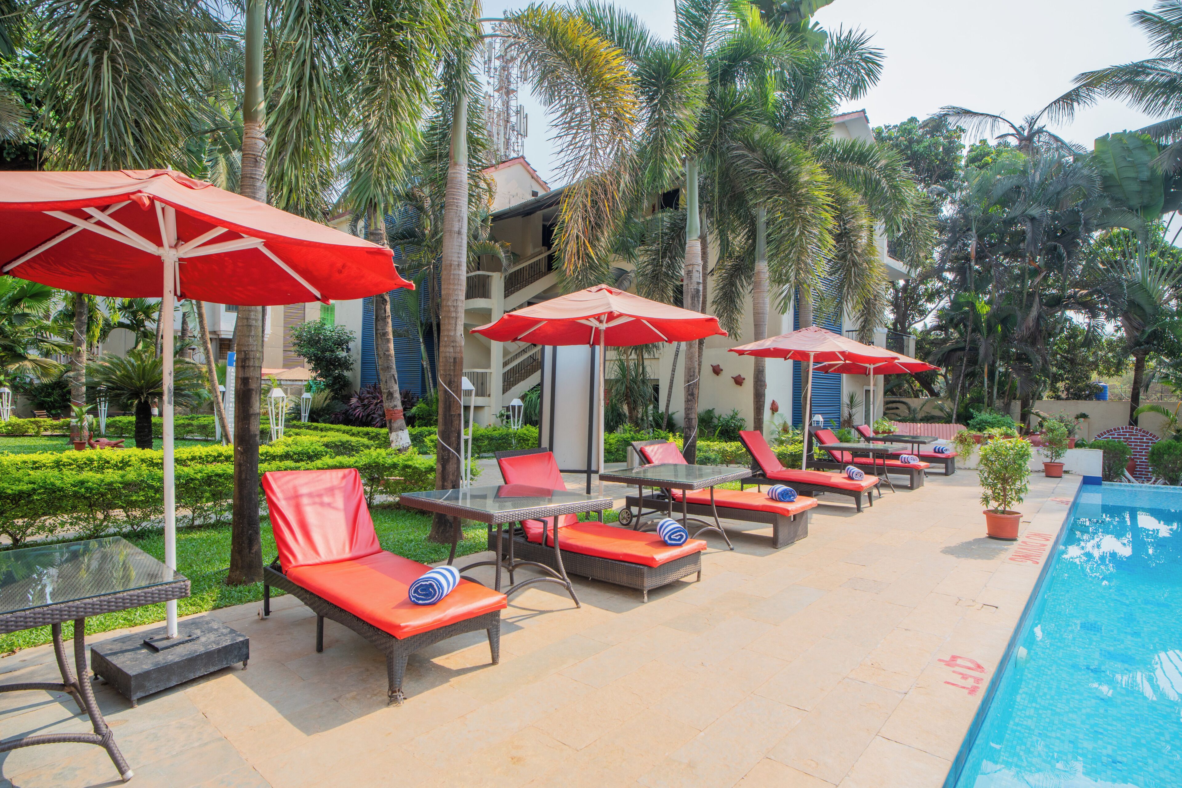 Una piscina al aire libre, sombrillas, sillones reclinables de piscina