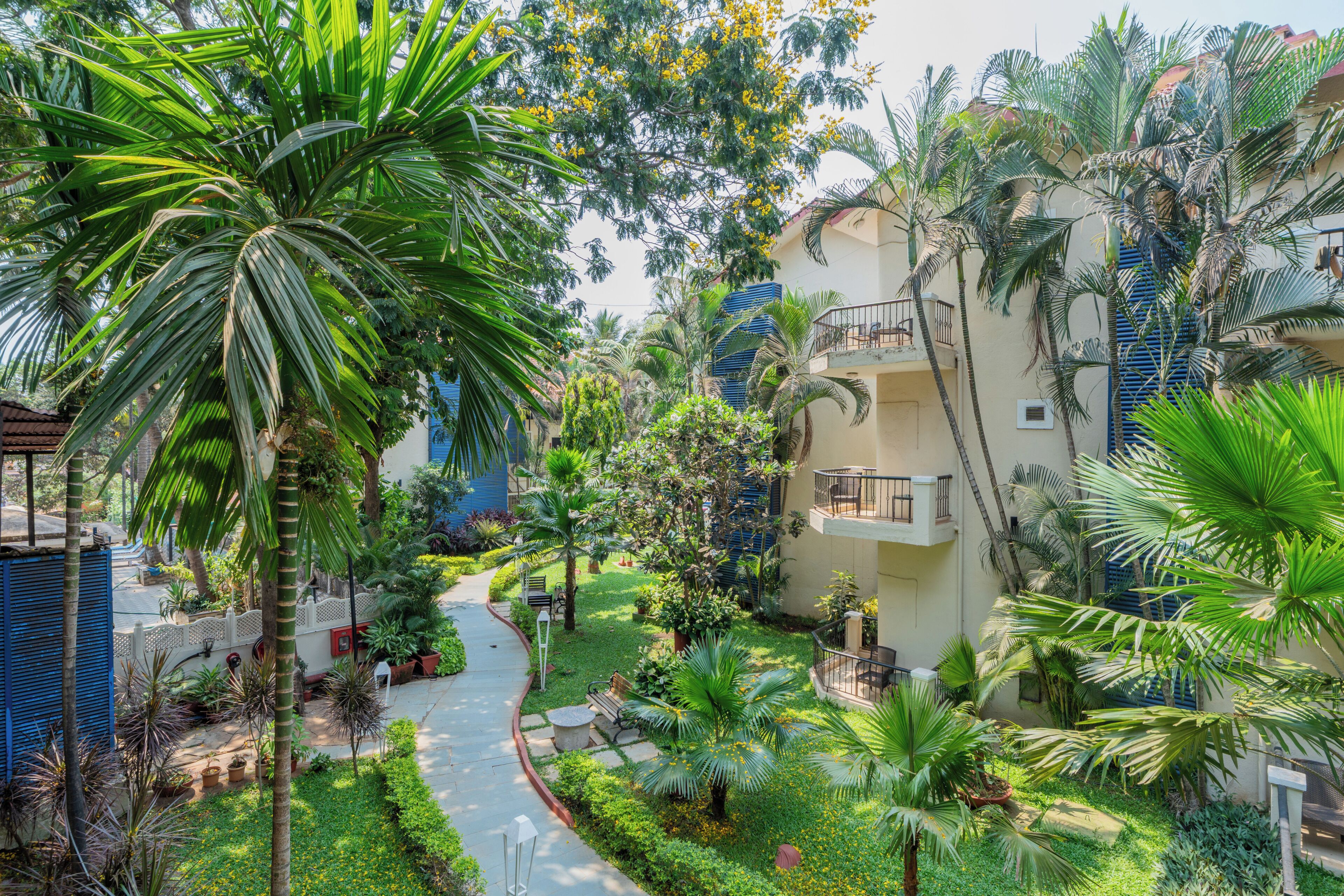 A courtyard with palm trees, a pathway, and a building with balconies.
