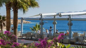 Bar (on property) - Concorde El Salam Hotel Sharm El Sheikh Sport Hotel (Sharm El Sheikh)