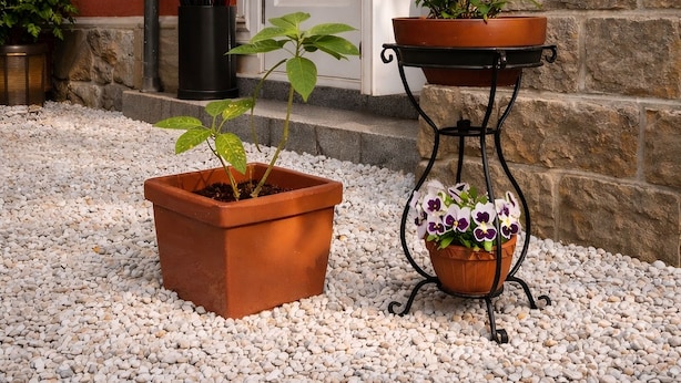 A building with a red and white striped awning, a white door, and a stone wall with an anchor decoration. There are two potted plants, one with orange flowers and another with purple flowers. - Hotel Del Borgo (Sestri Levante)