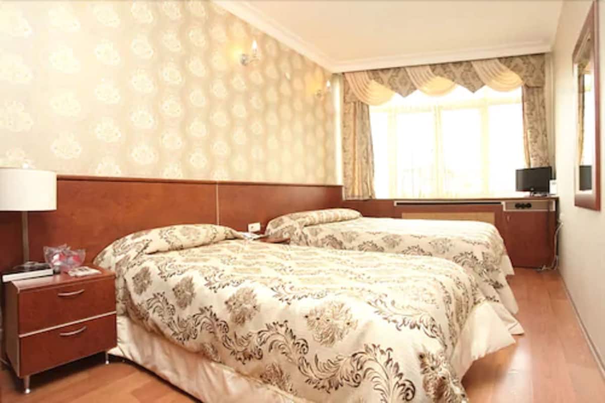 Minibar, desk, soundproofing, WiFi (free)