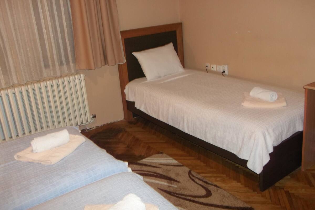Une chambre d’hôtel avec deux lits simples, une tête de lit en bois, un radiateur et un tapis marron à motifs.