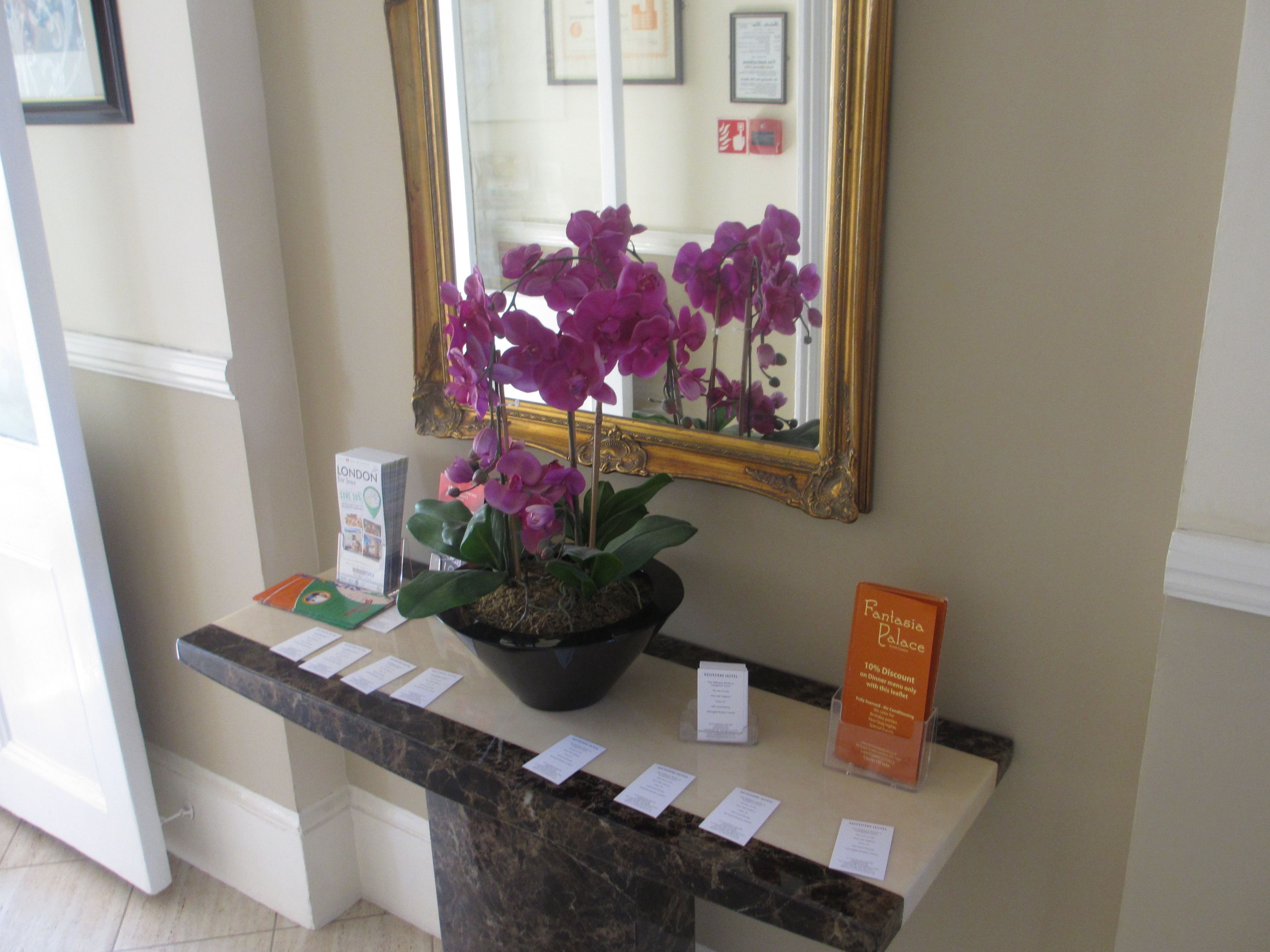 Foto - Belvedere Hotel