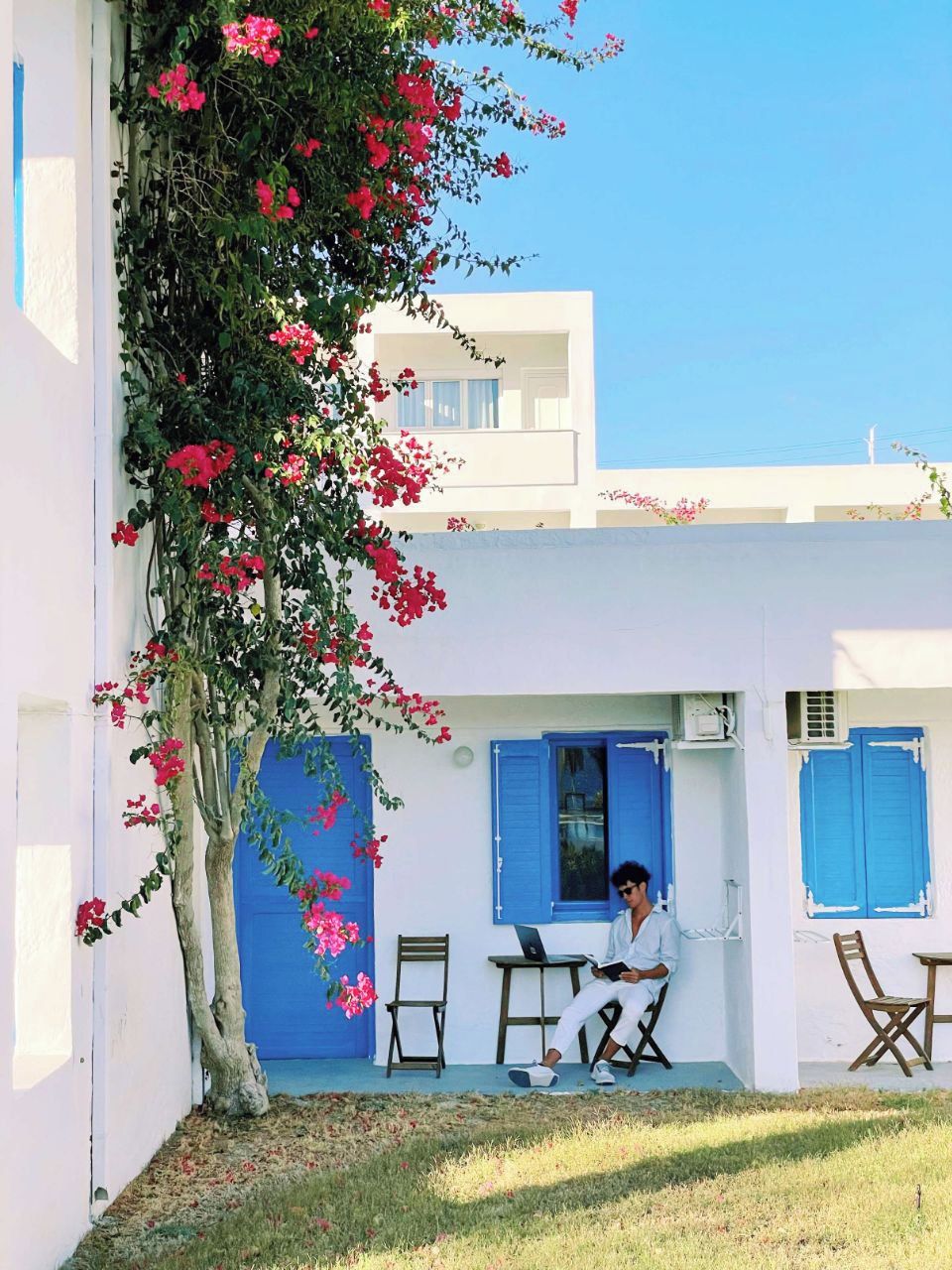 Ein weißes Gebäude mit blauen Fensterläden, ein Baum mit rosa Blüten und eine Person, die an einem Tisch mit einem Laptop sitzt.