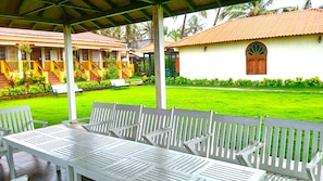 Garden view
