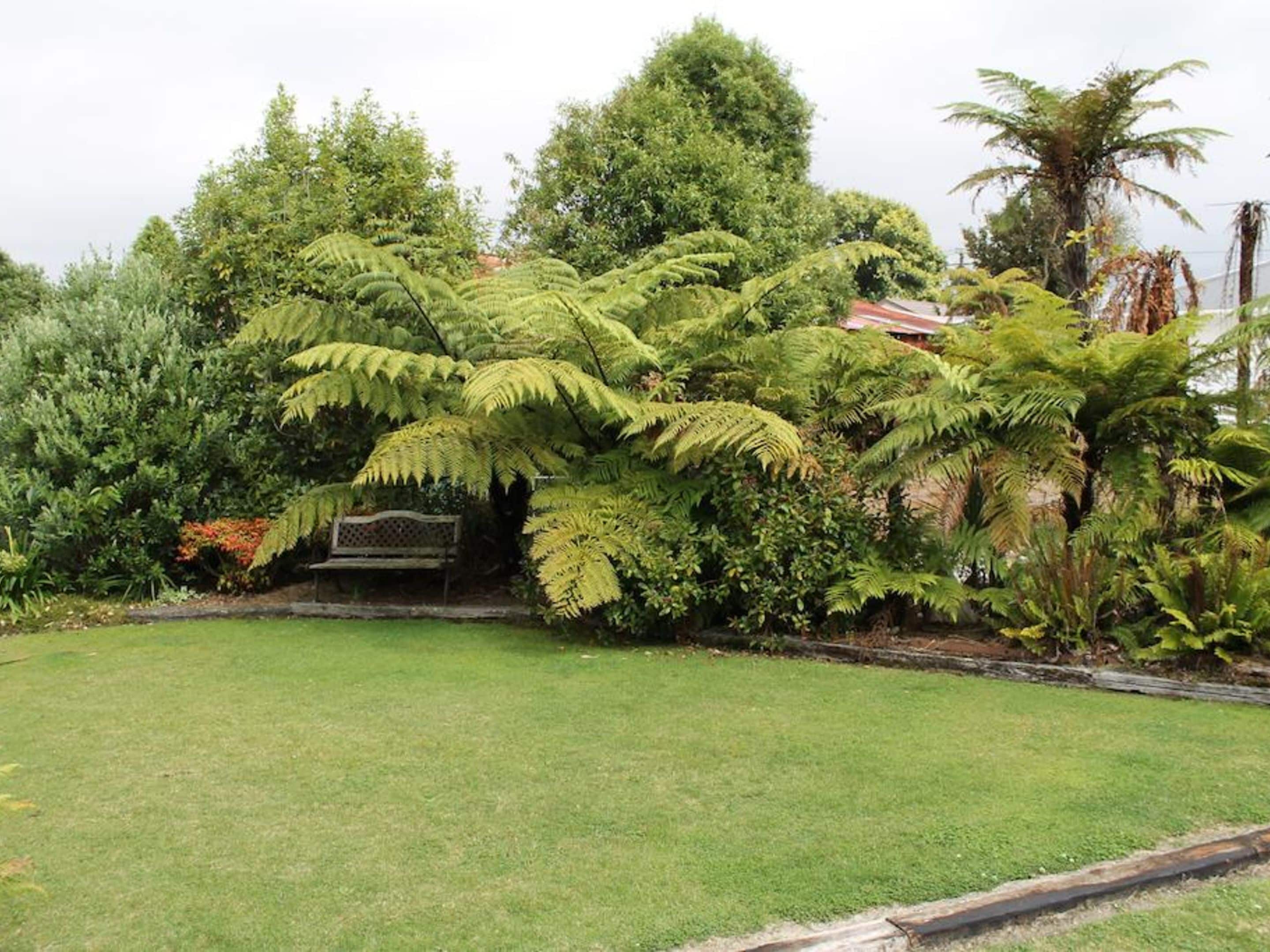 Un exuberante jardín con diversos árboles y arbustos, un banco y un césped bien cuidado.