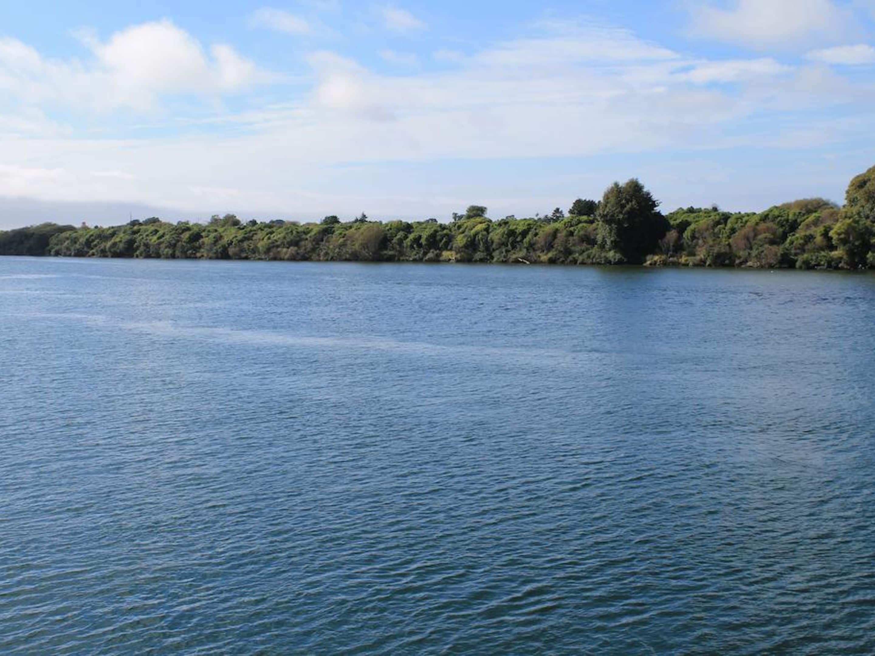 Un lago tranquilo con una orilla boscosa.