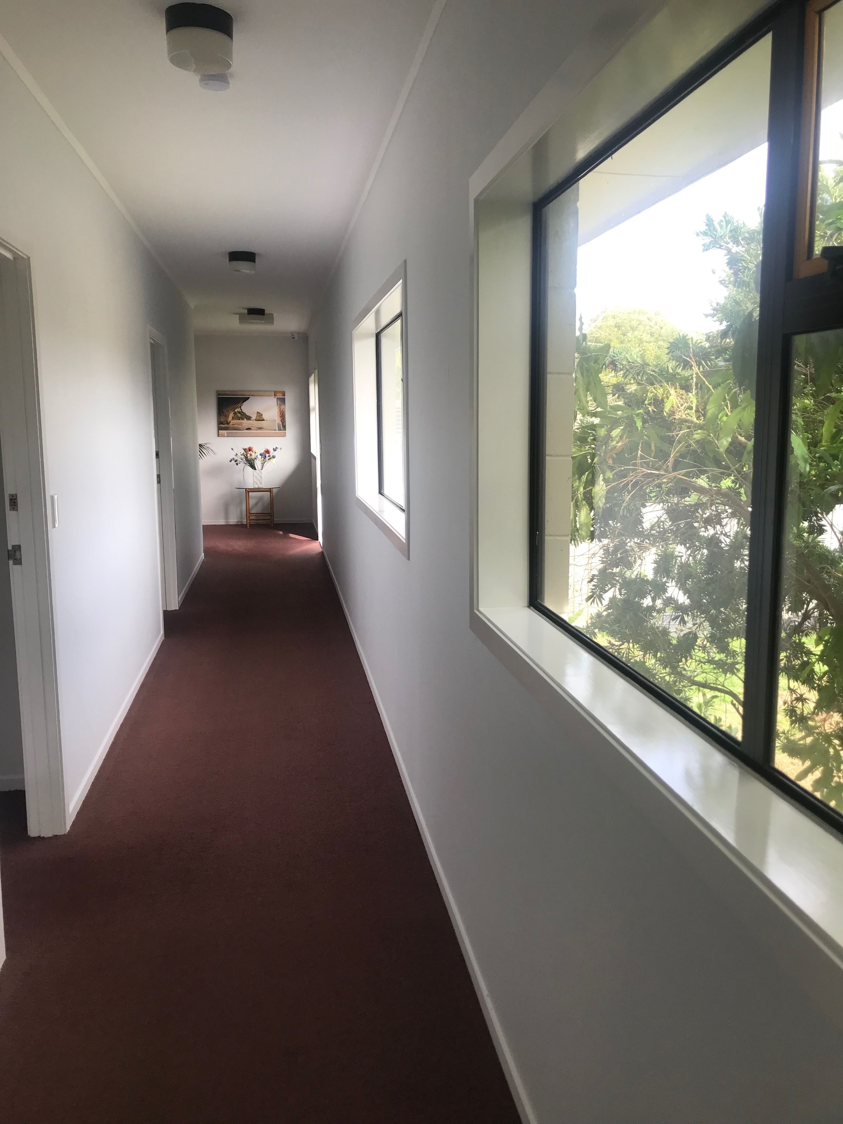 A hallway with a carpeted floor, white walls, and a large window on the right.