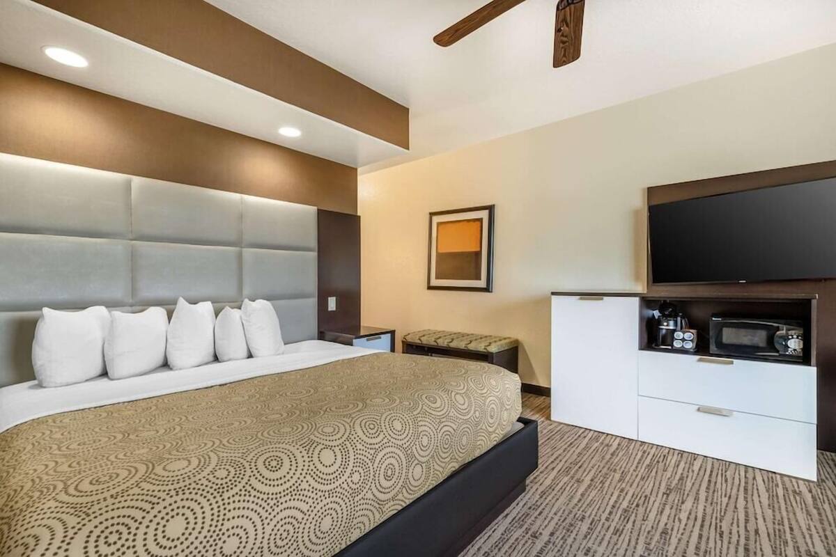 Une chambre d’hôtel avec un grand lit, un téléviseur à écran plat, un petit bureau et un four à micro-ondes.