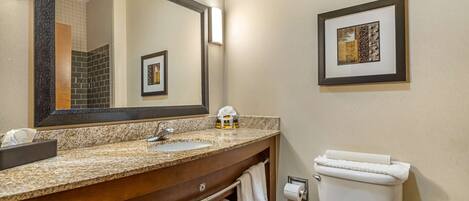 A bathroom with a granite countertop sink, a large mirror, a framed artwork on the wall, and a toilet.