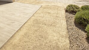 Een modern gebouw met glazen ingang, een heldere lucht en een grindpad dat leidt naar een aangelegde tuin met struiken en een boom.