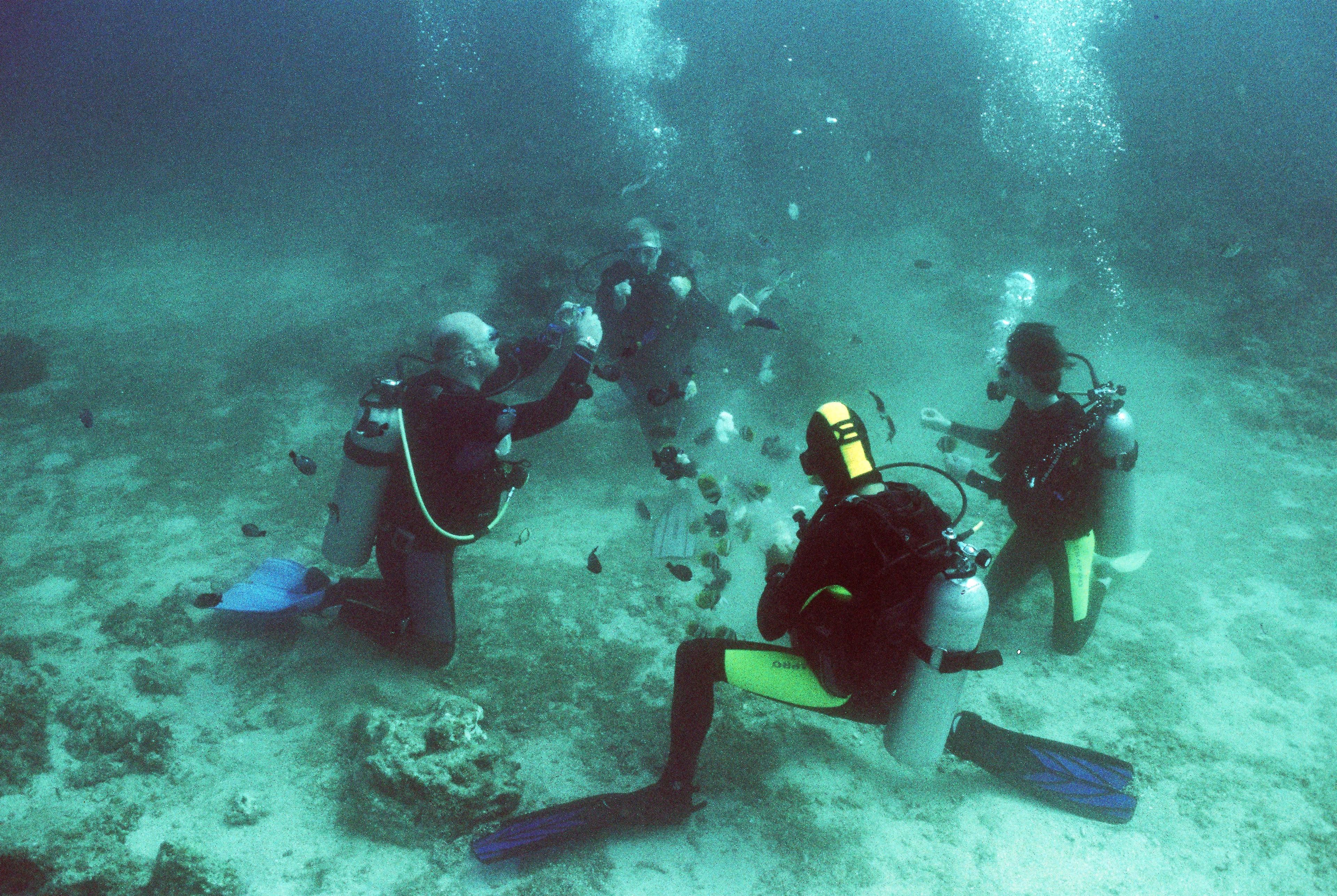 private beach, white sand, sun-loungers, beach umbrellas
