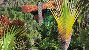 Un jardin luxuriant, avec des palmiers, un sentier et un bâtiment doté d’un toit rouge.