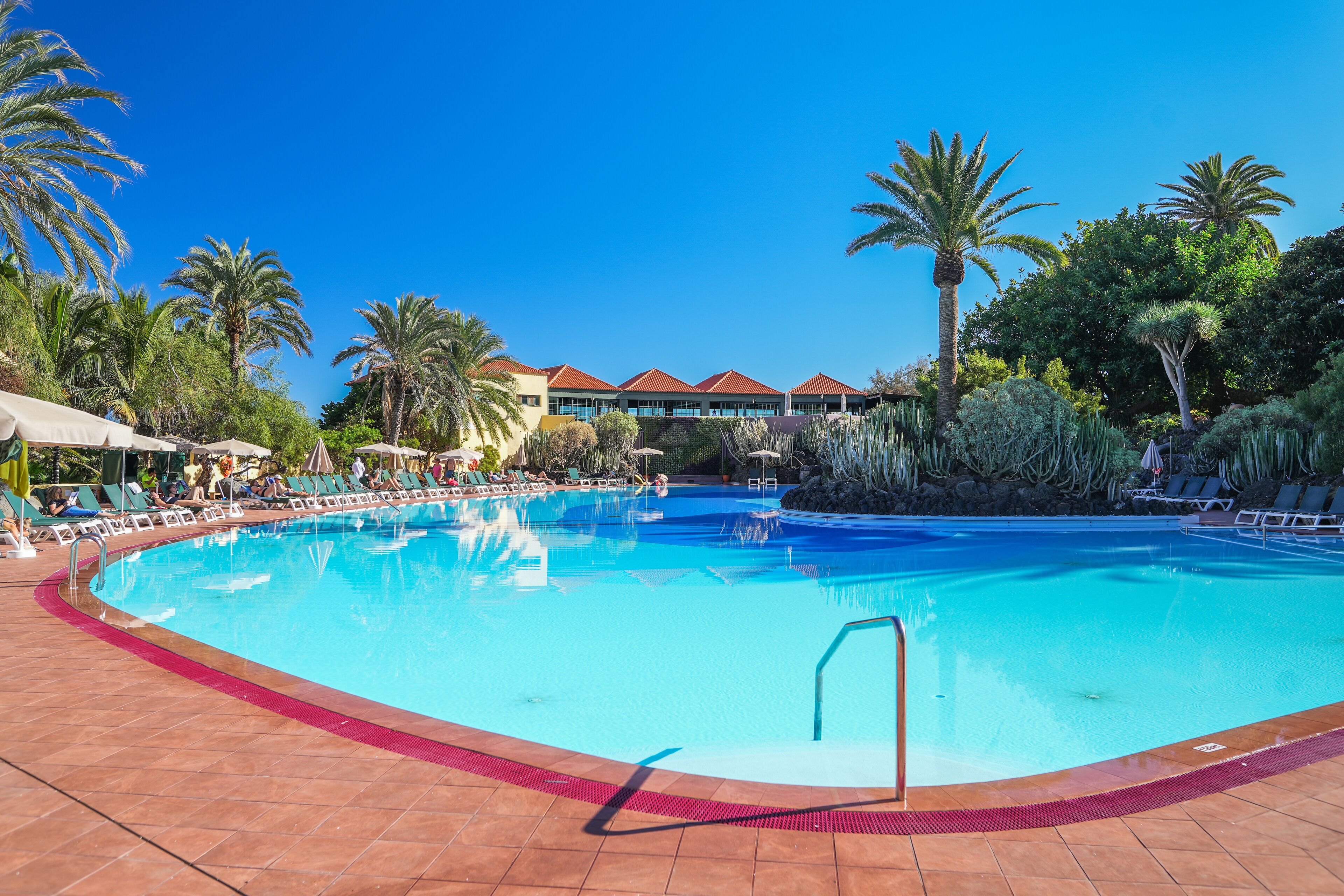 A large outdoor swimming pool with a red border, surrounded by palm trees and lounge chairs.