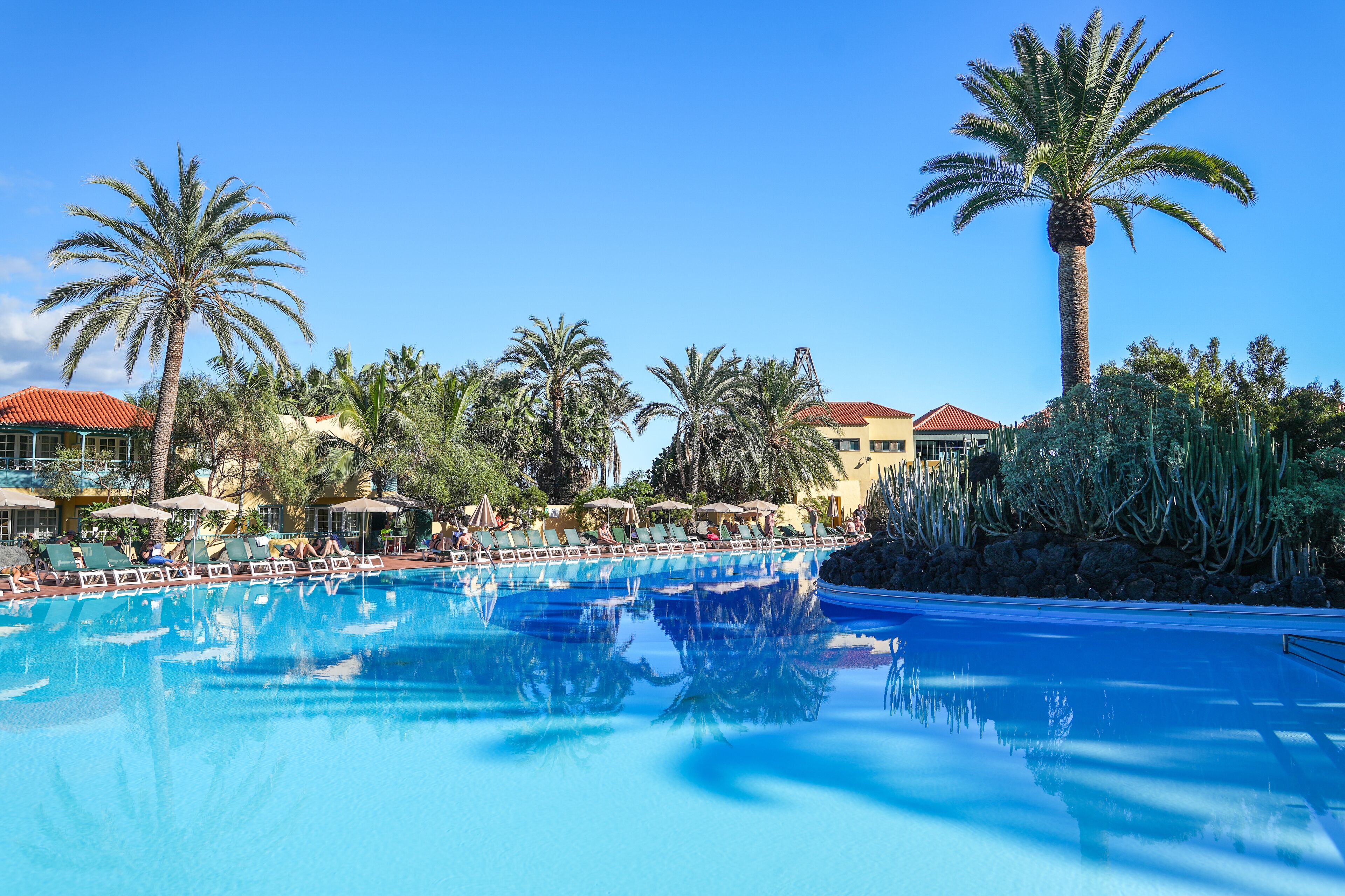 Una grande piscina all'aperto circondata da palme e lettini, con edifici sullo sfondo.