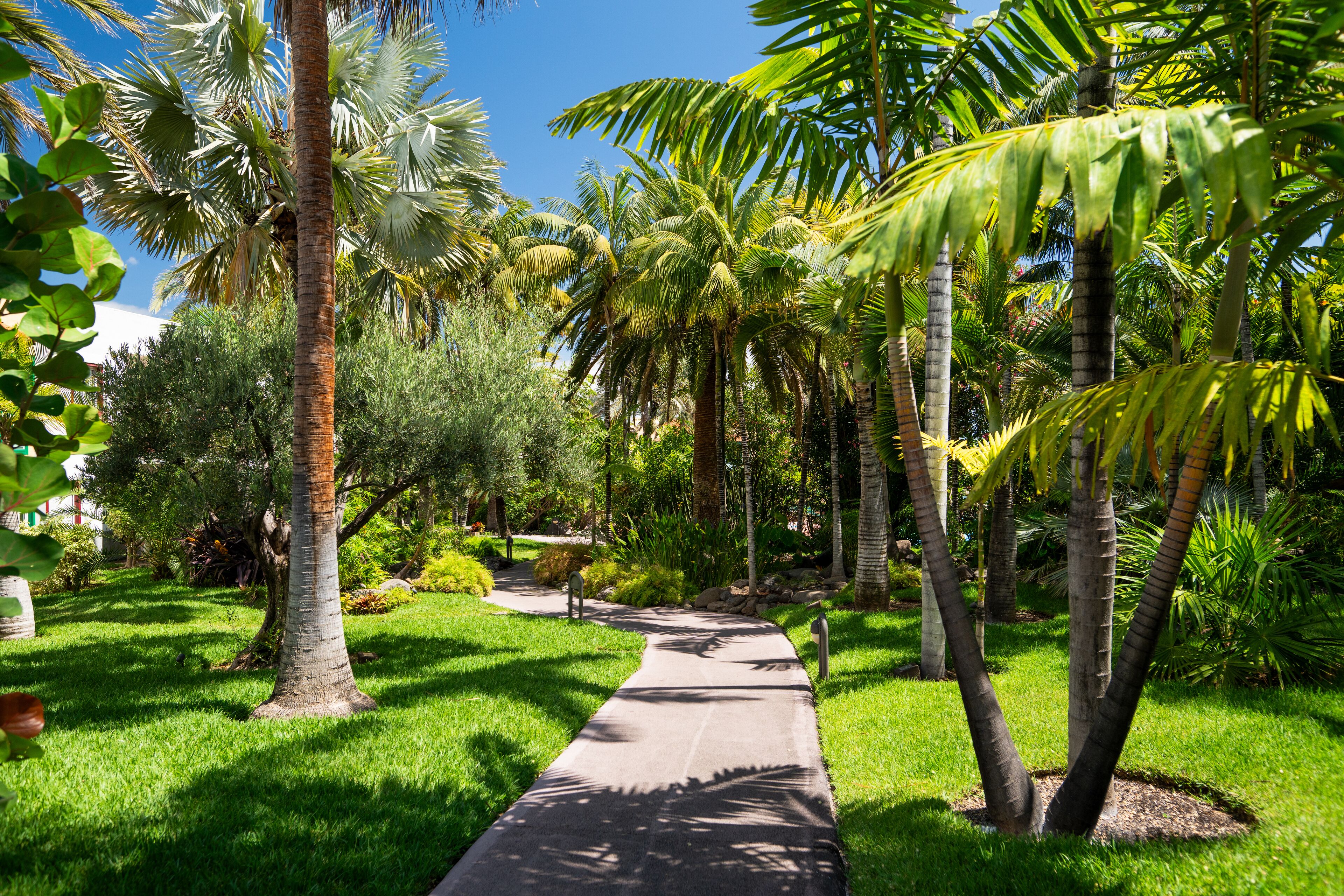 Àrea exterior de l&#x27;allotjament