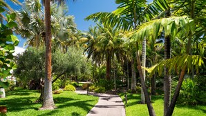 Un camino serpentea por un exuberante jardín con palmeras y césped verde.
