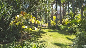 Un jardín exuberante con diversas plantas y árboles, un sendero cubierto de césped y un edificio al fondo.