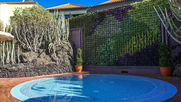 A swimming pool with a tiled deck, surrounded by a variety of plants and a stone wall.