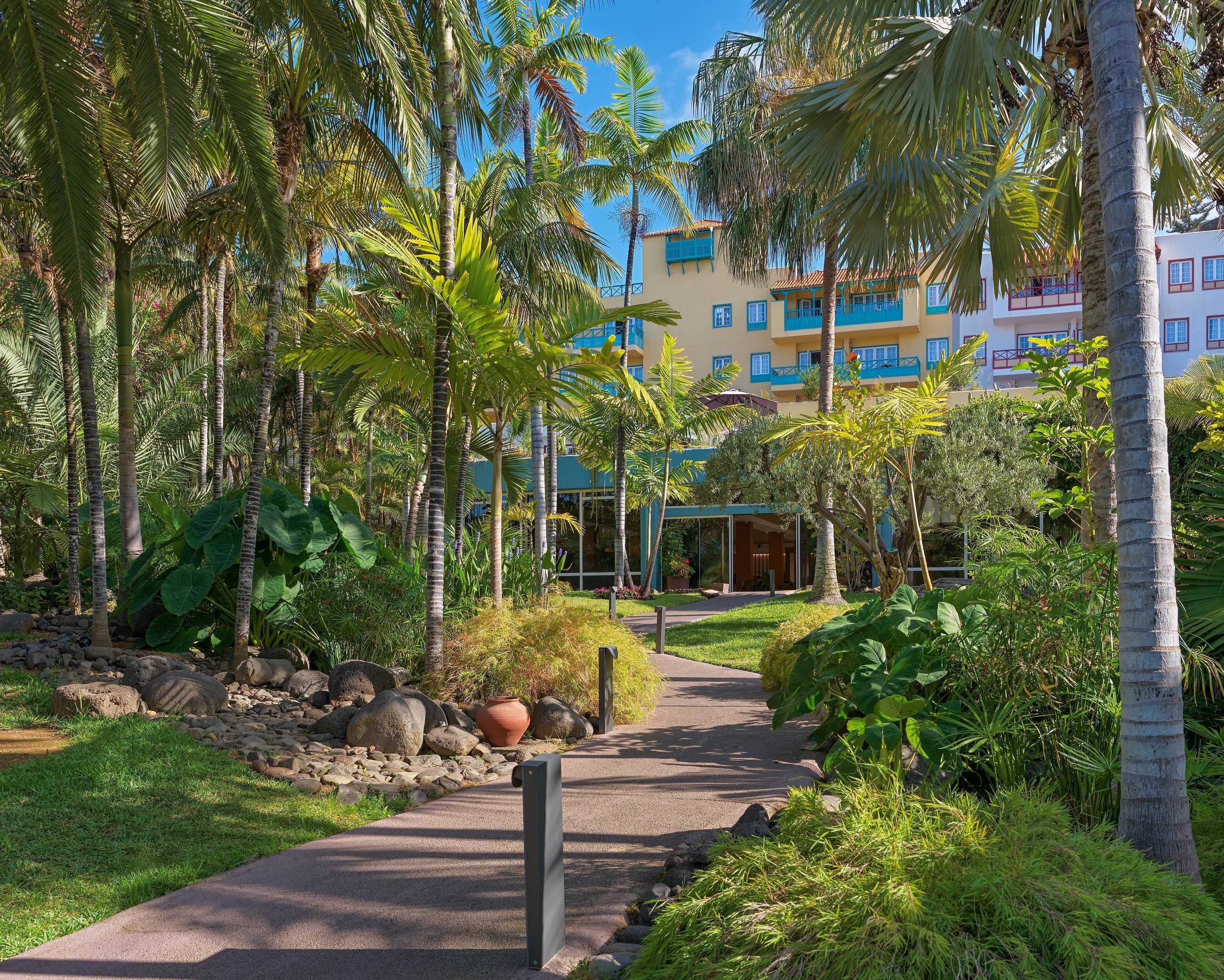 A pathway leading to a building with a tropical garden and palm trees.