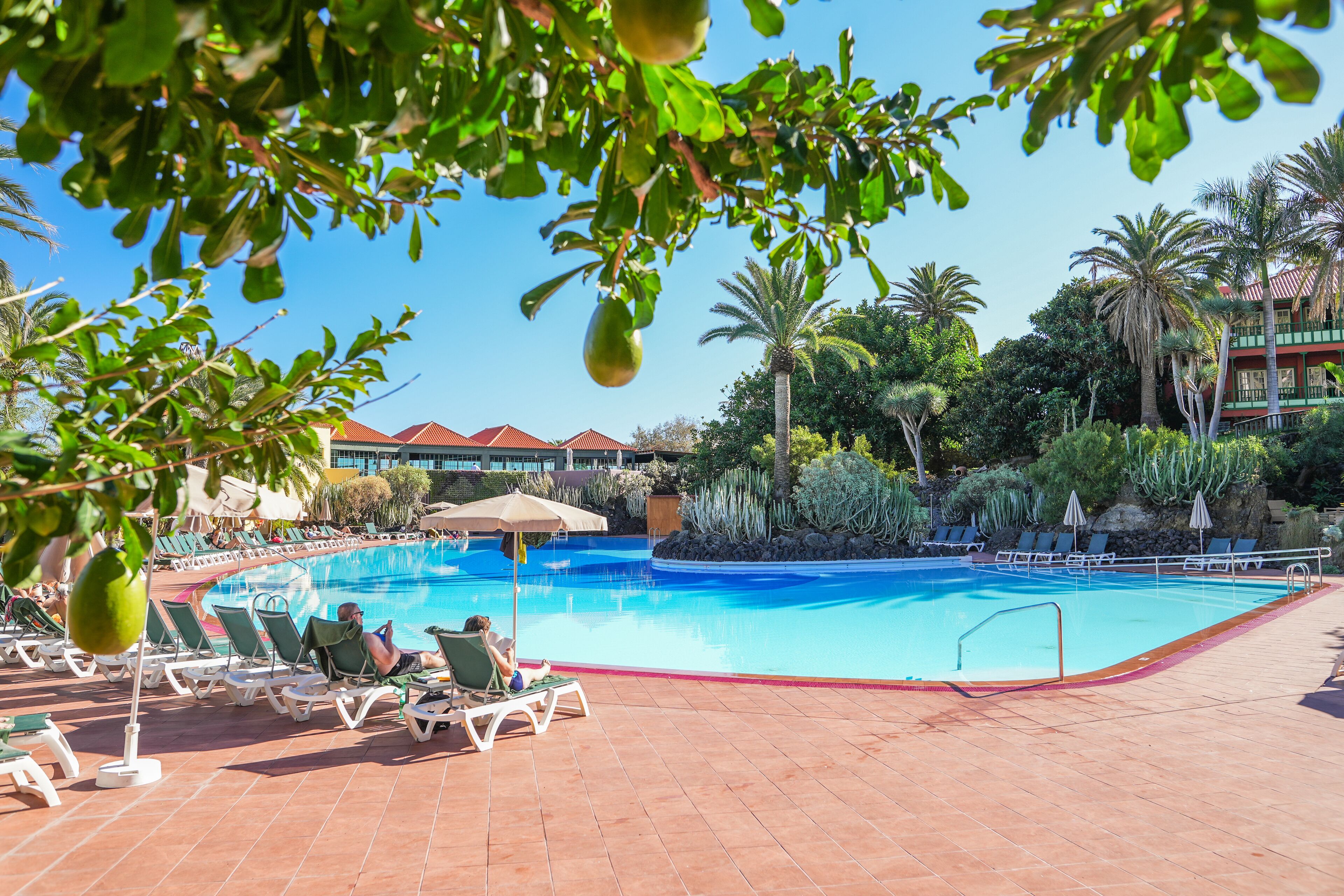 A swimming pool with lounge chairs and umbrellas, surrounded by palm trees and other greenery.