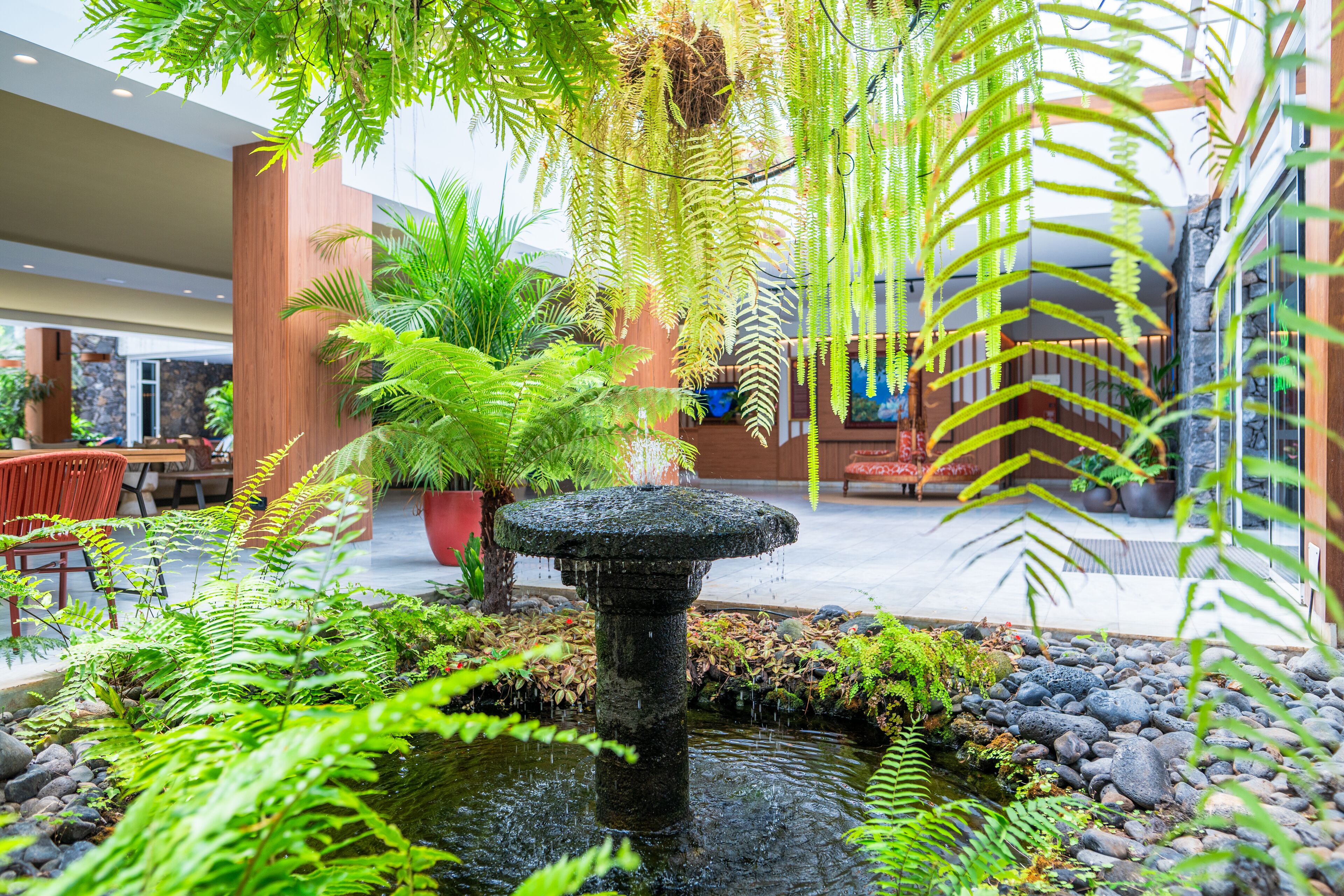 A serene indoor garden with a central water feature, surrounded by lush ferns and a variety of plants.