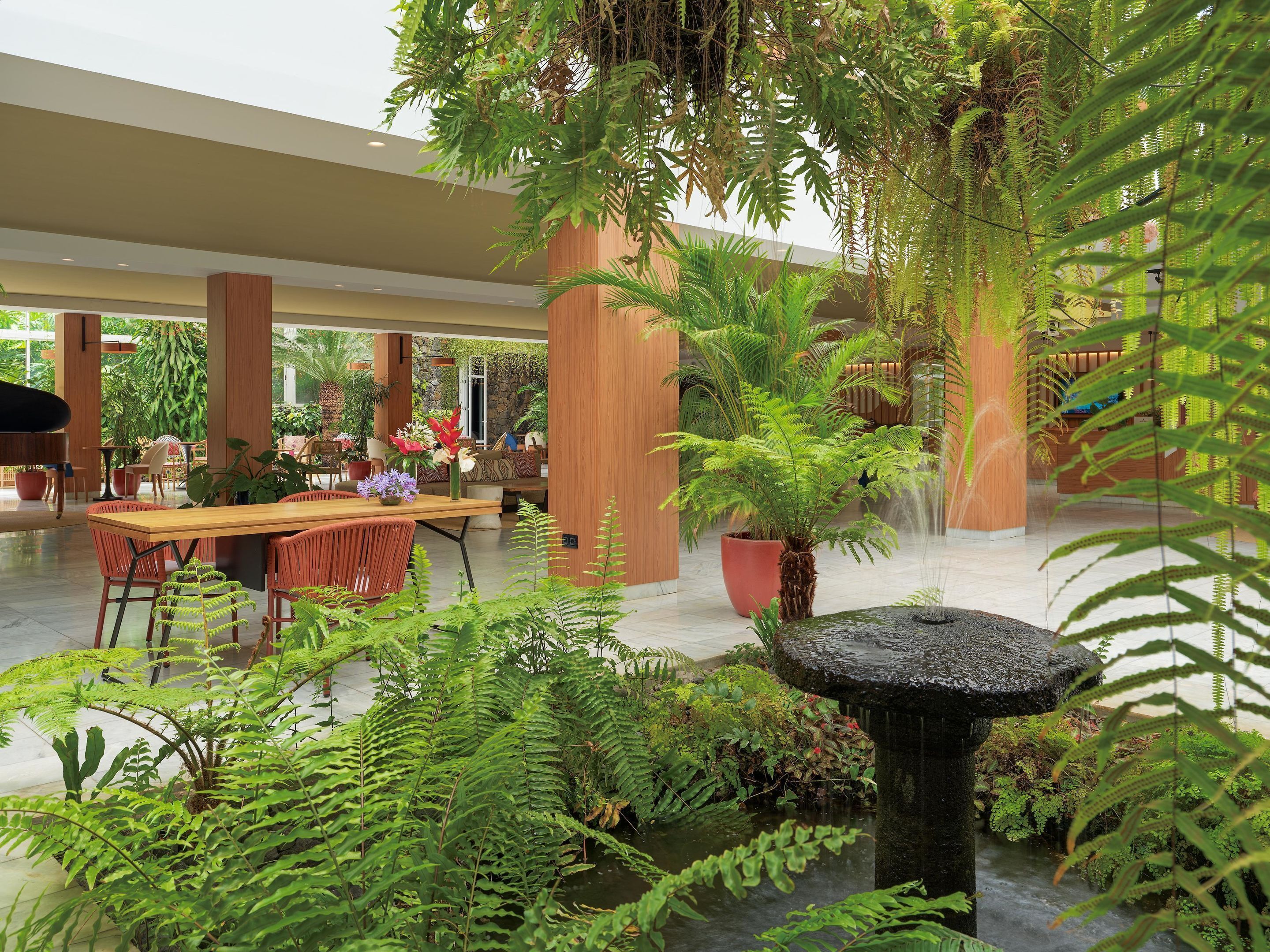 A spacious indoor area with a dining table, chairs, and a variety of potted plants, including ferns and a large tree.