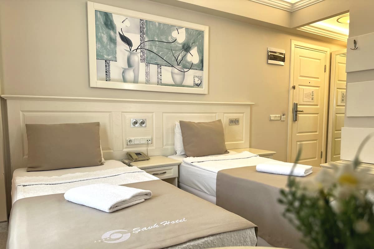 Minibar, desk, free WiFi, bed sheets