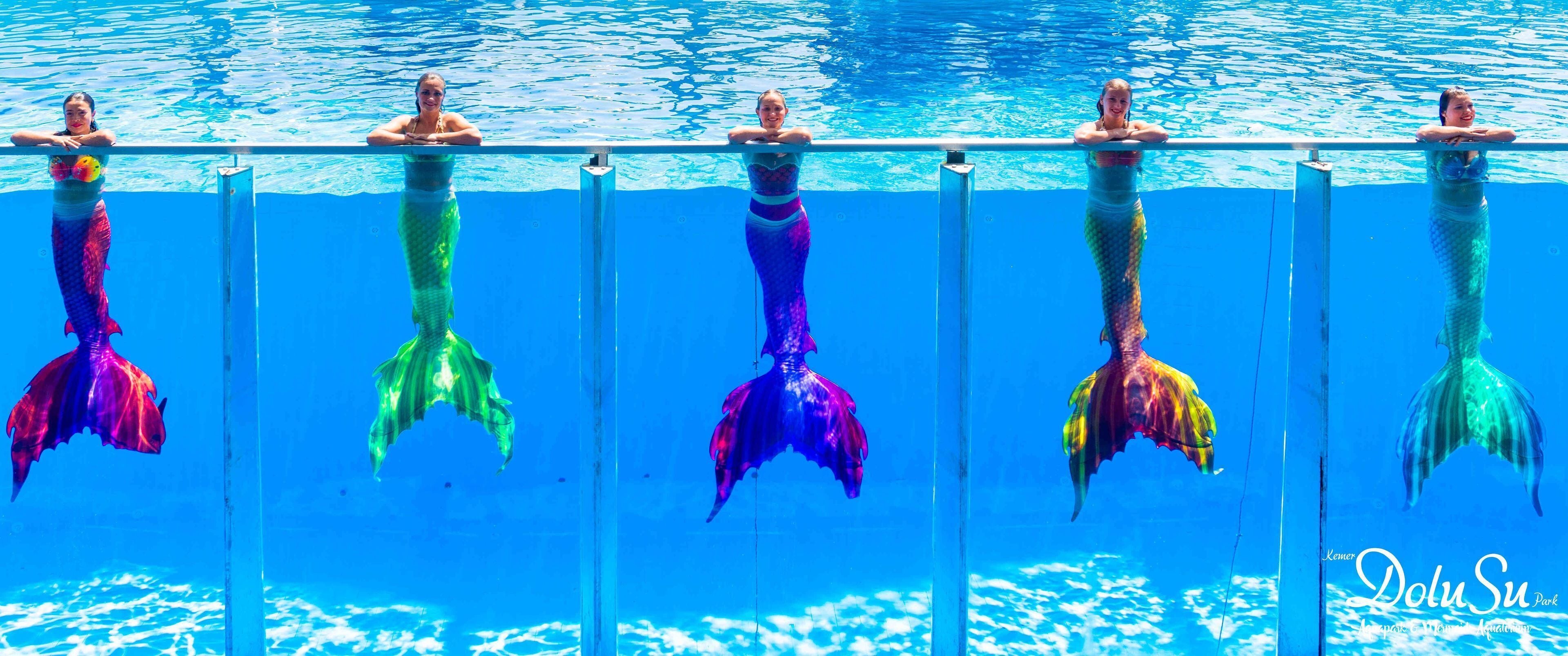 A pool with mermaid tails.