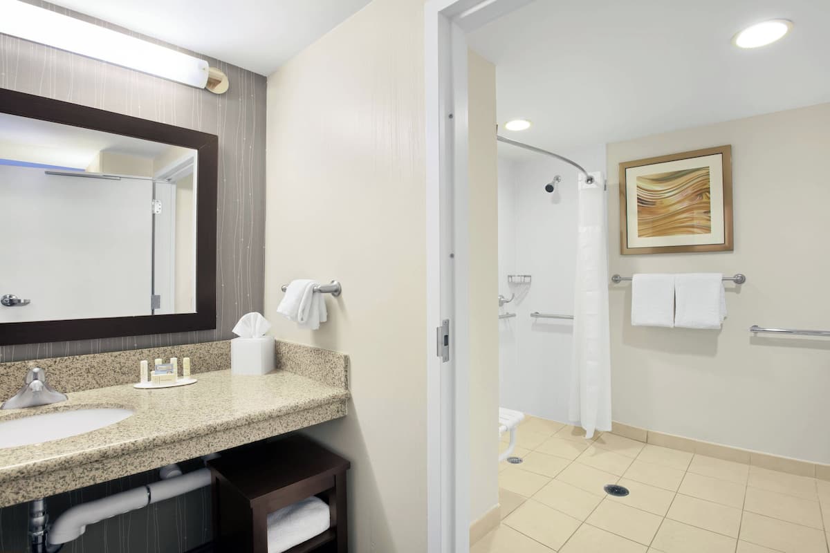 suite, 1 bedroom | bathroom | combined shower/bathtub, free toiletries, hair dryer, towels