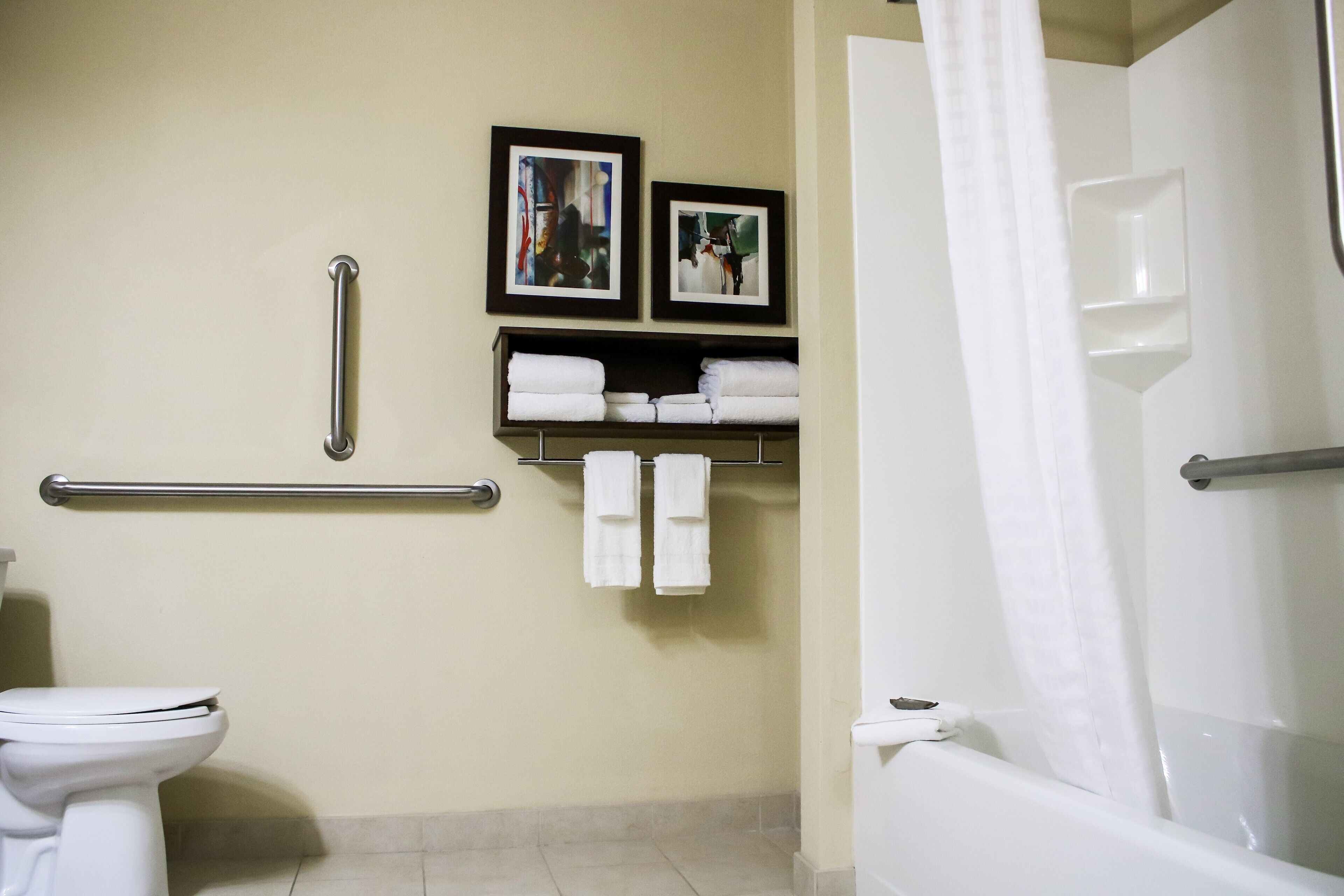 Une salle de bain comprenant des toilettes, une douche avec une porte en verre, une barre d’appui et deux tableaux encadrés au mur.