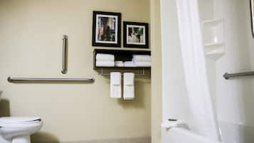 Un bagno con il water, una doccia con porta in vetro, un maniglione di sostegno e due quadri appesi al muro.