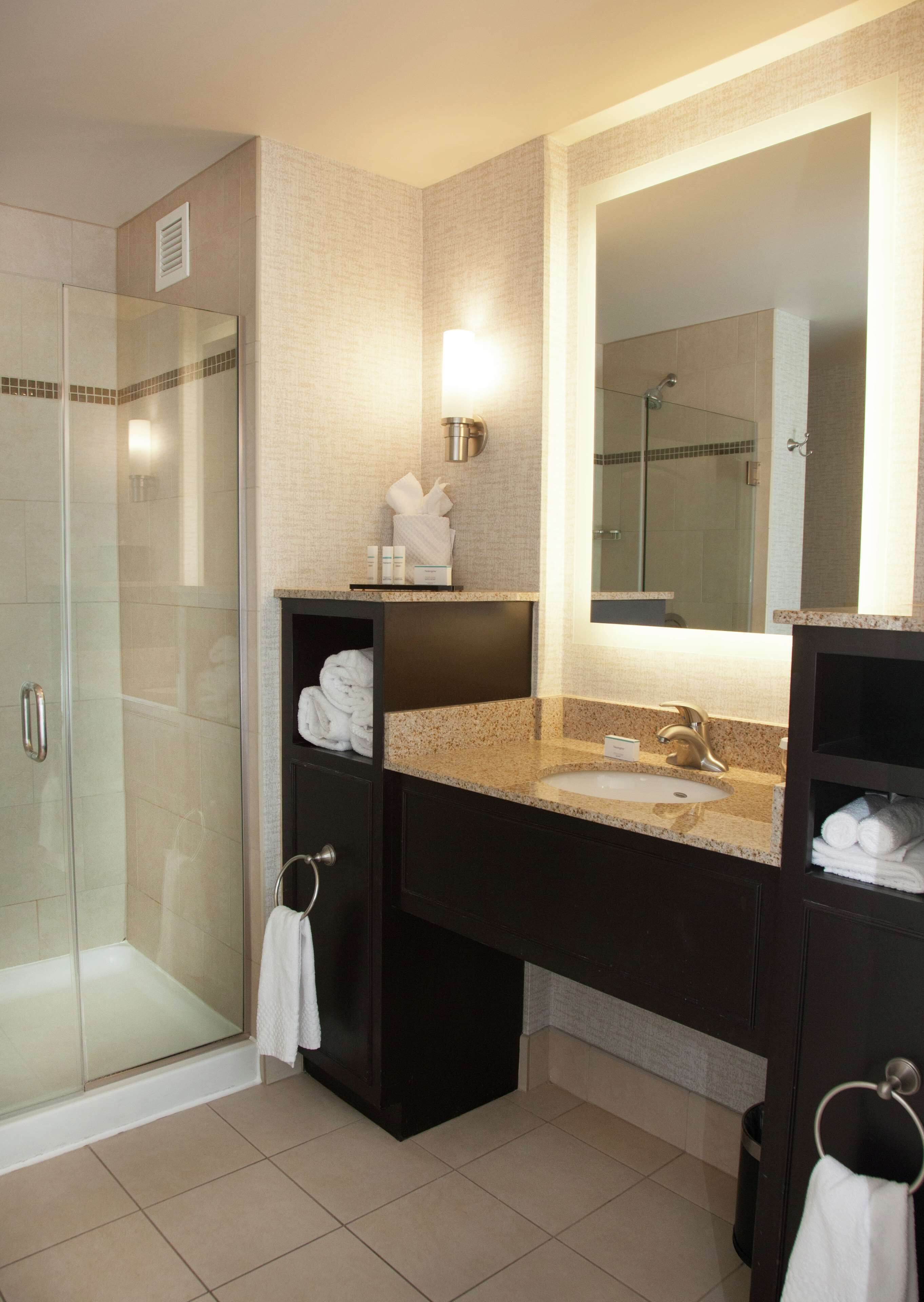 suite king non smoking | bathroom shower