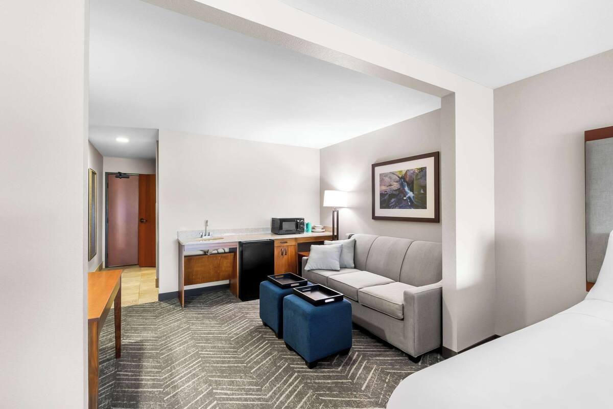 A hotel room with a bed, a sofa, a desk with a microwave, a small refrigerator, and a picture on the wall.