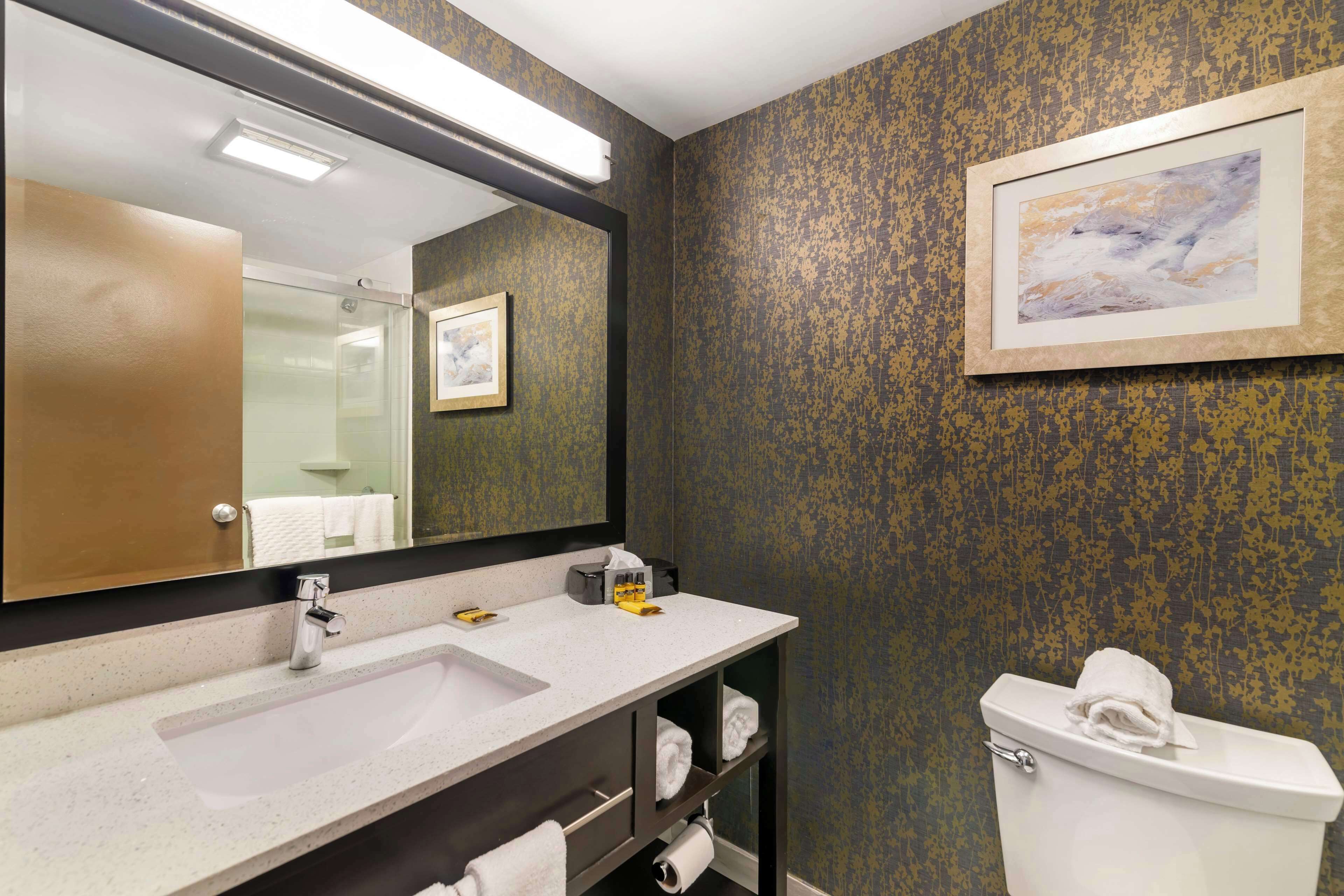 A bathroom with a white sink, a mirror, a toilet, and a framed artwork on the wall.