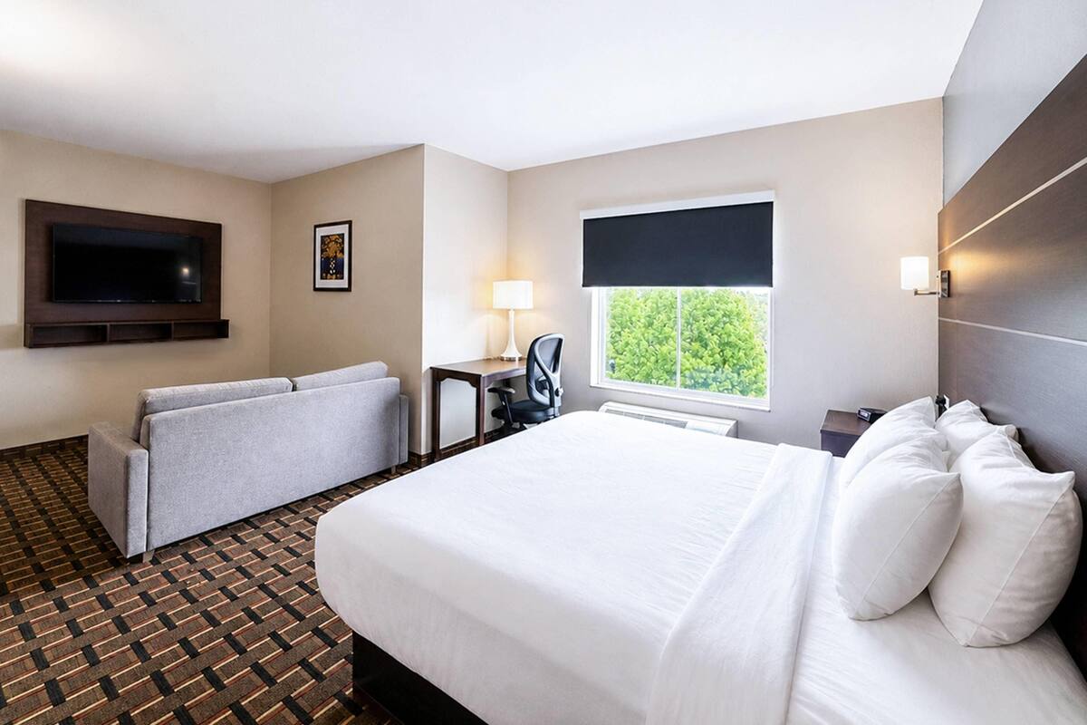A hotel room with a bed, a sofa, a desk, a TV, and a window with a view.