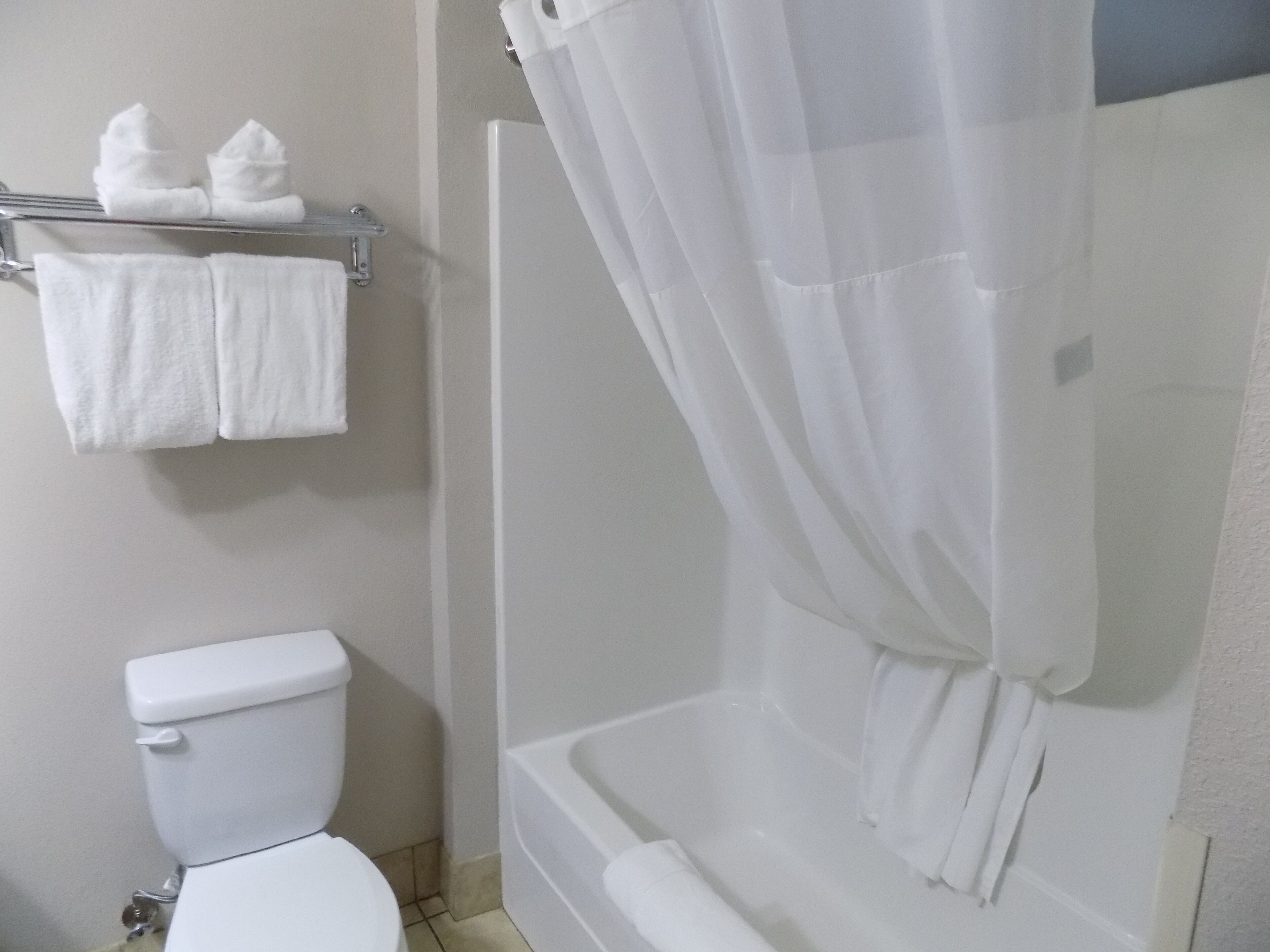 A bathroom with a toilet, a bathtub, and a shower curtain.