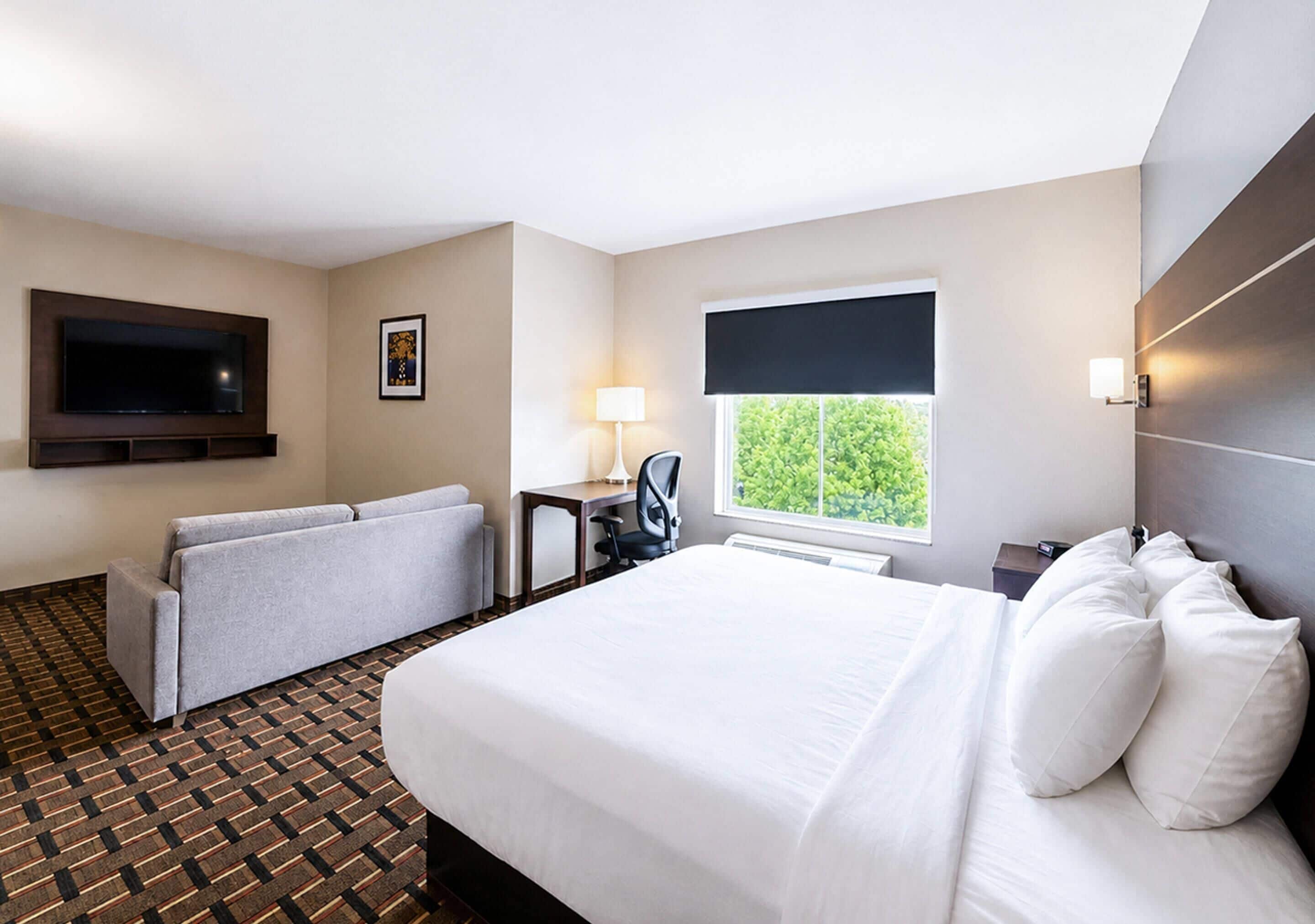 A hotel room with a bed, a sofa, a desk, a TV, and a window with a view.